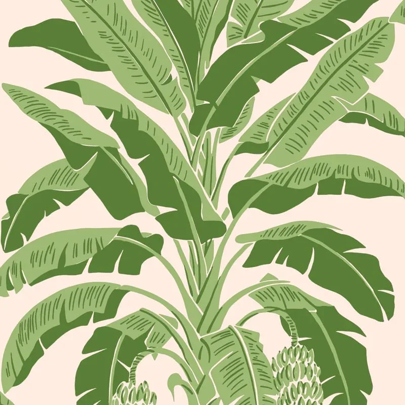 Banana Tree Pink and Green Thibaut wallpaper by Wallpaper Twins