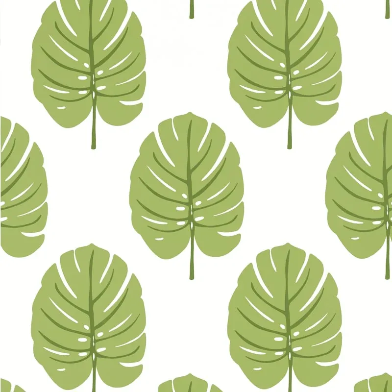 Monstera Apple Green Thibaut wallpaper by Wallpaper Twins