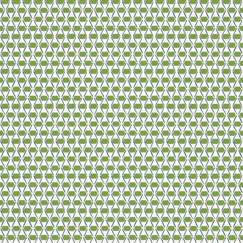 Denver Green and Blue Thibaut wallpaper by Wallpaper Twins
