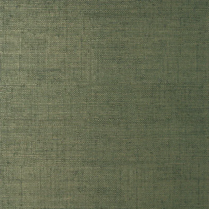 T14513 | Bankun Raffia - Forest