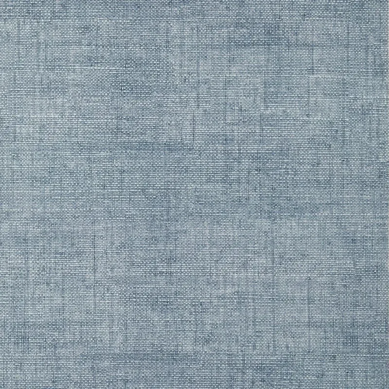 T14521 | Bankun Raffia - Blueberry