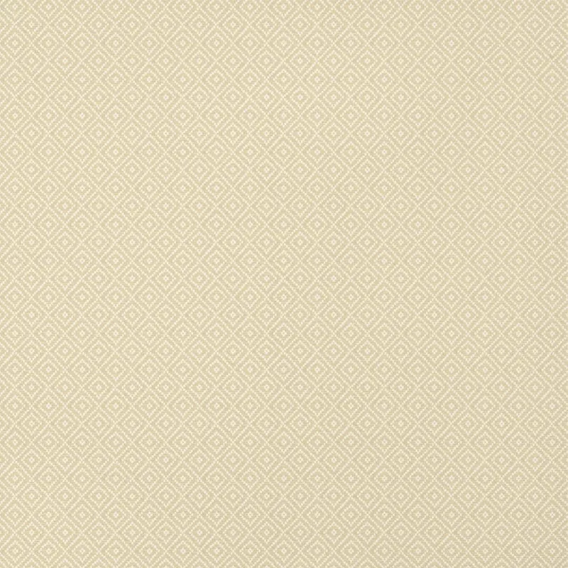 T14539 | Rimba - Camel