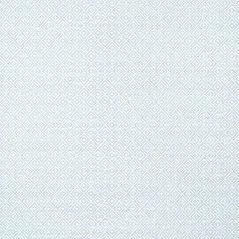 T14541 | Rimba - Ice