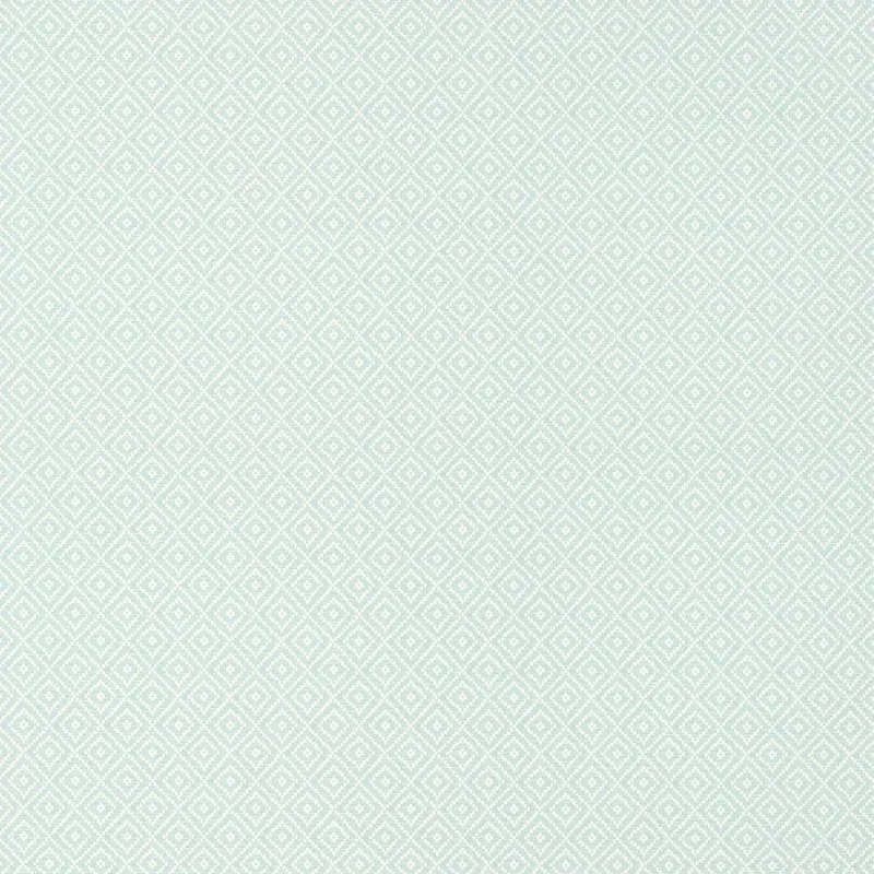 T14542 | Rimba - Robin