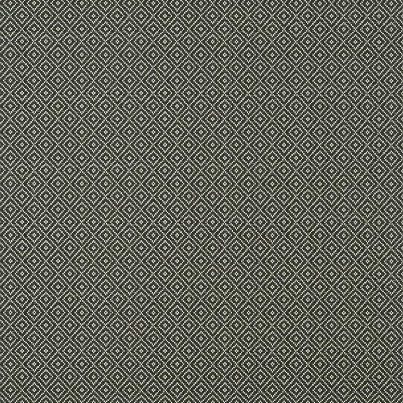T14546 | Rimba - Black