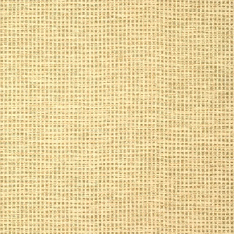 Spiro Straw Thibaut wallpaper by Wallpaper Twins