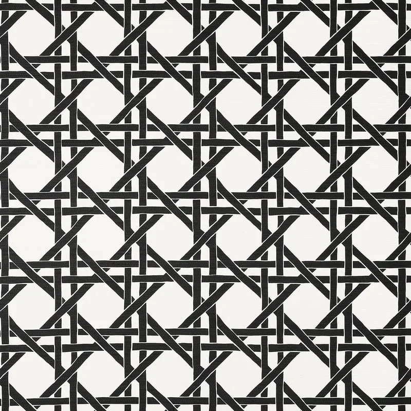T15816 | Canary Trellis - Black