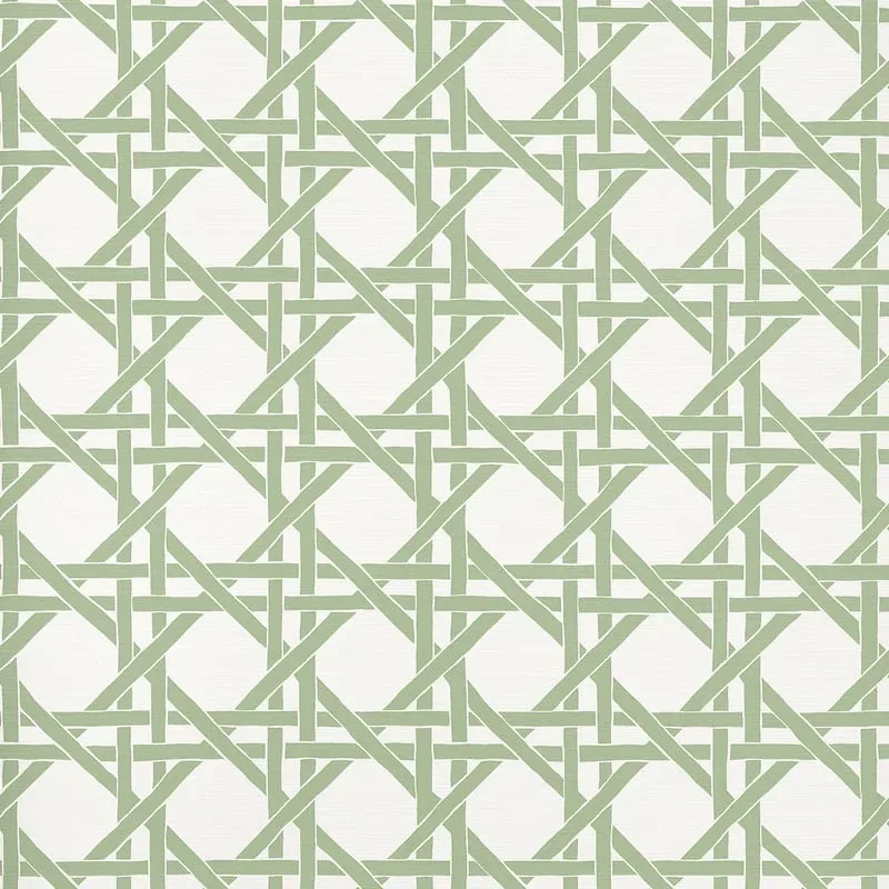 T15820 | Canary Trellis - Willow
