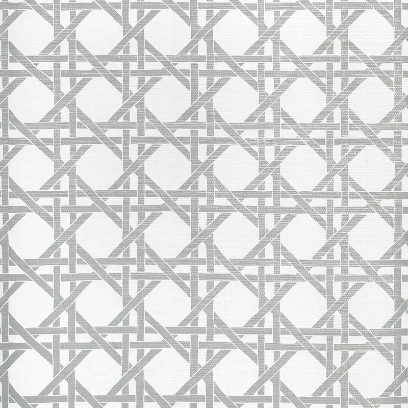 T15822 | Canary Trellis - Metallic Silver
