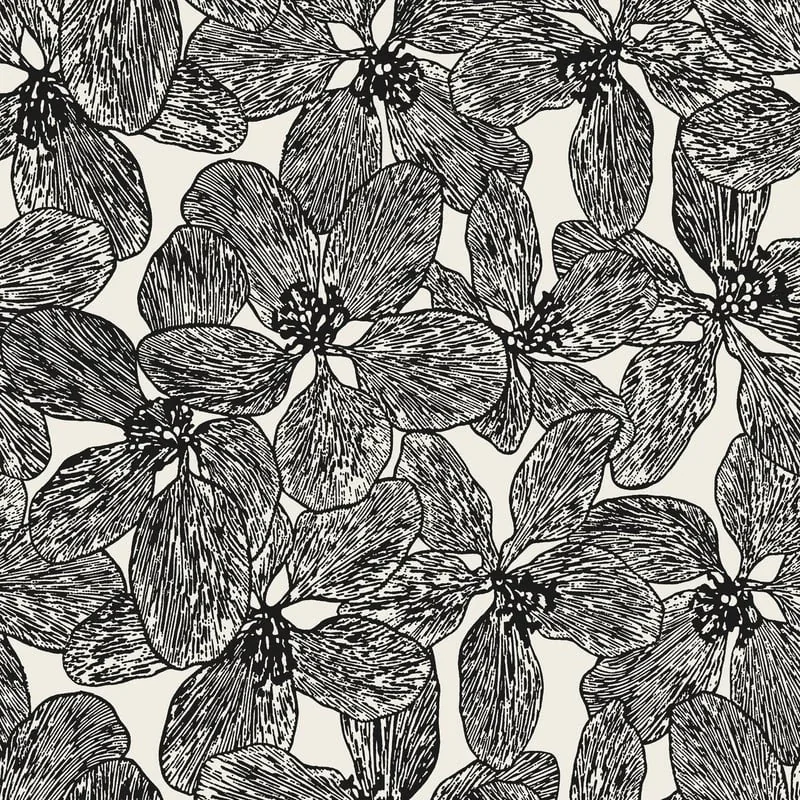 T15848 | Island Orchid - Black and White