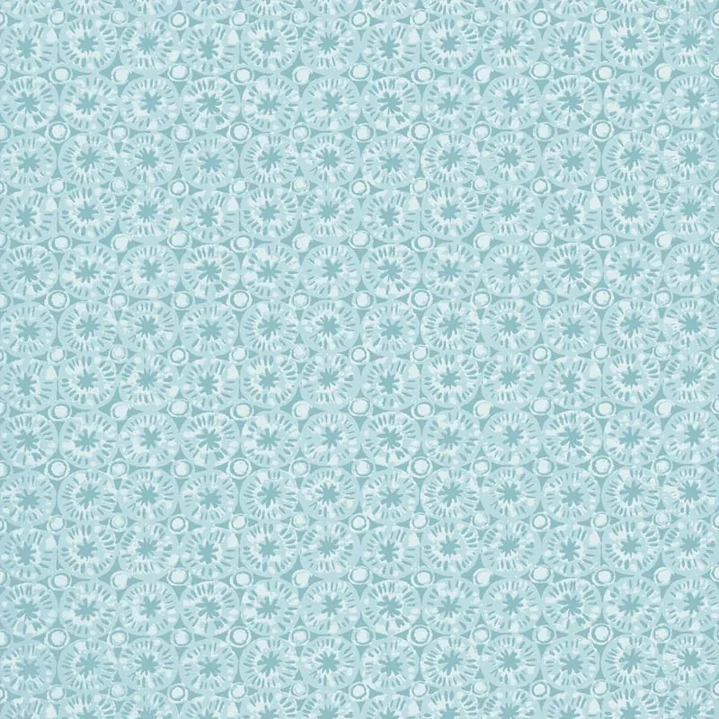 T15858 | Sand Dollar – Seaglass