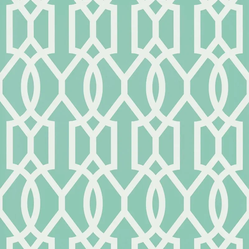 T16046 | Downing Gate - Turquoise