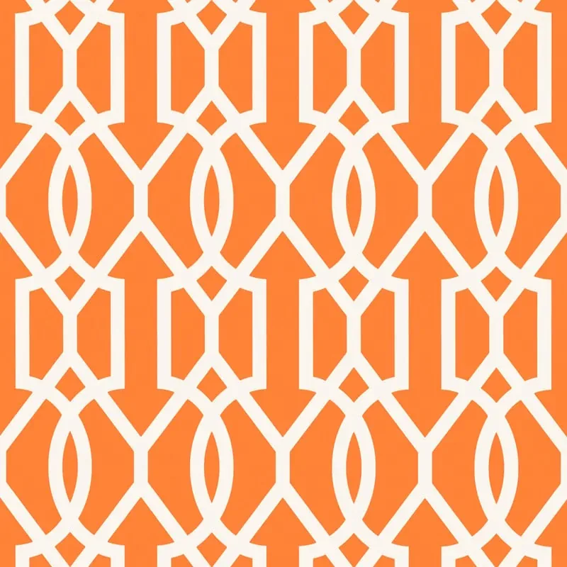 T16049 | Downing Gate - Tangerine