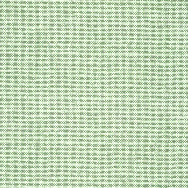 T16261 | Palawan - Green