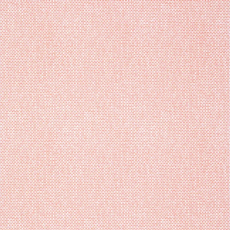 T16263 | Palawan - Coral