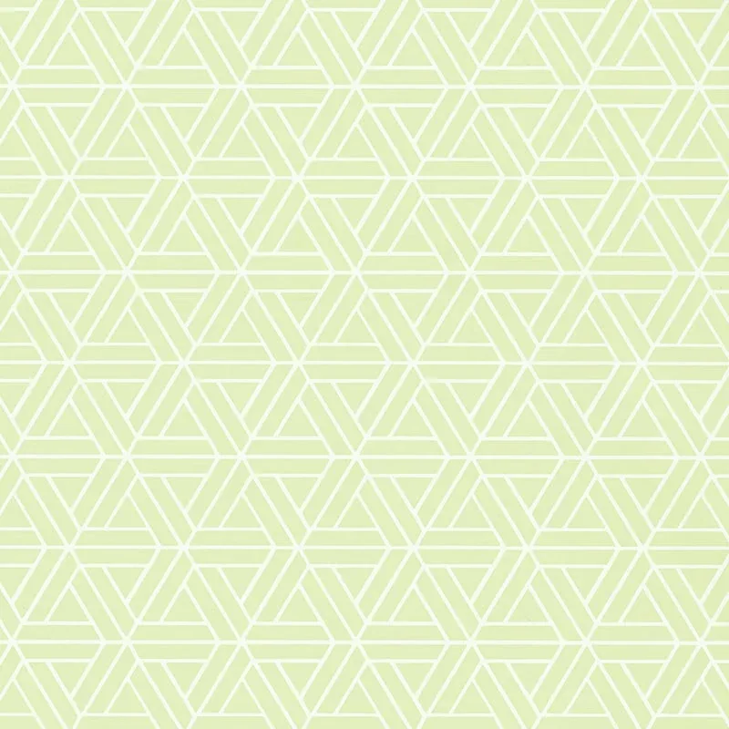 T1881 | Medina - Green