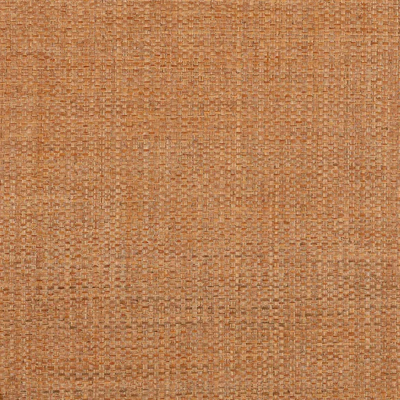 T19606 | Lauderdale - Pumpkin