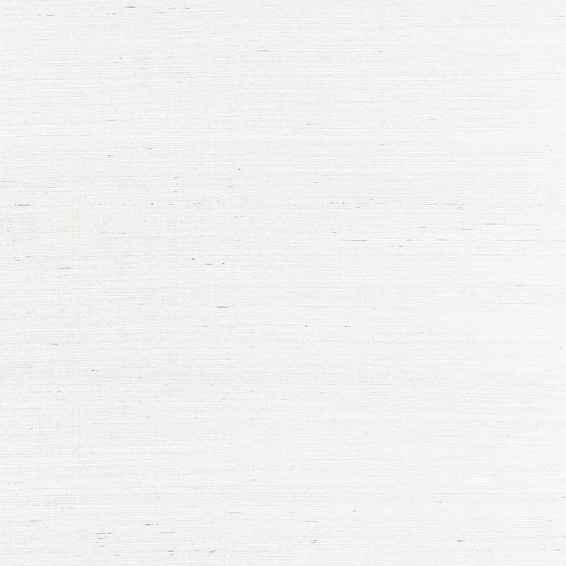 T19613 | Shang Extra Fine Sisal - Ice