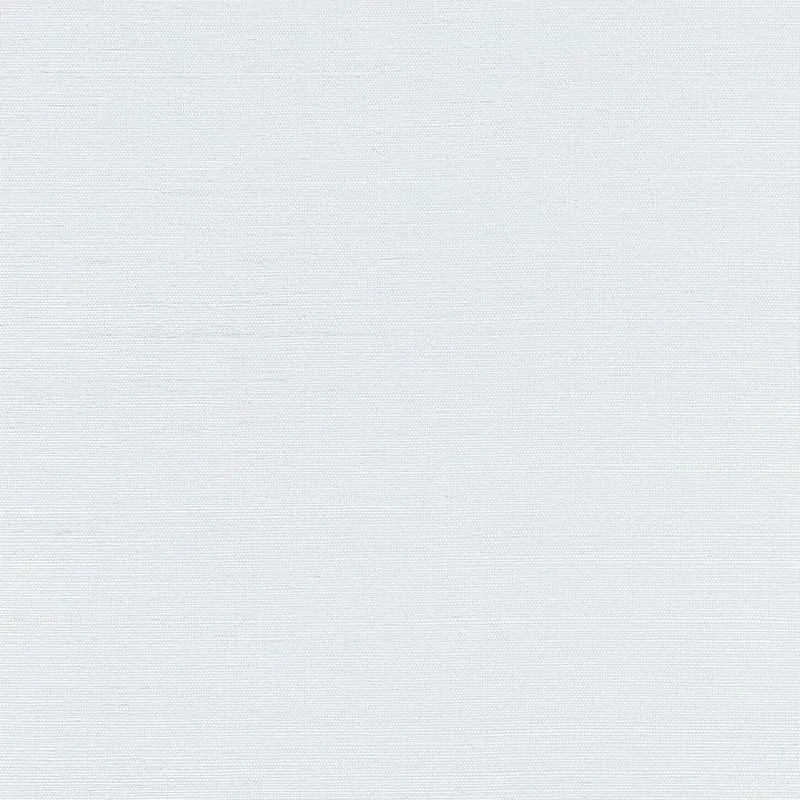 T19617 | Shang Extra Fine Sisal - Mist