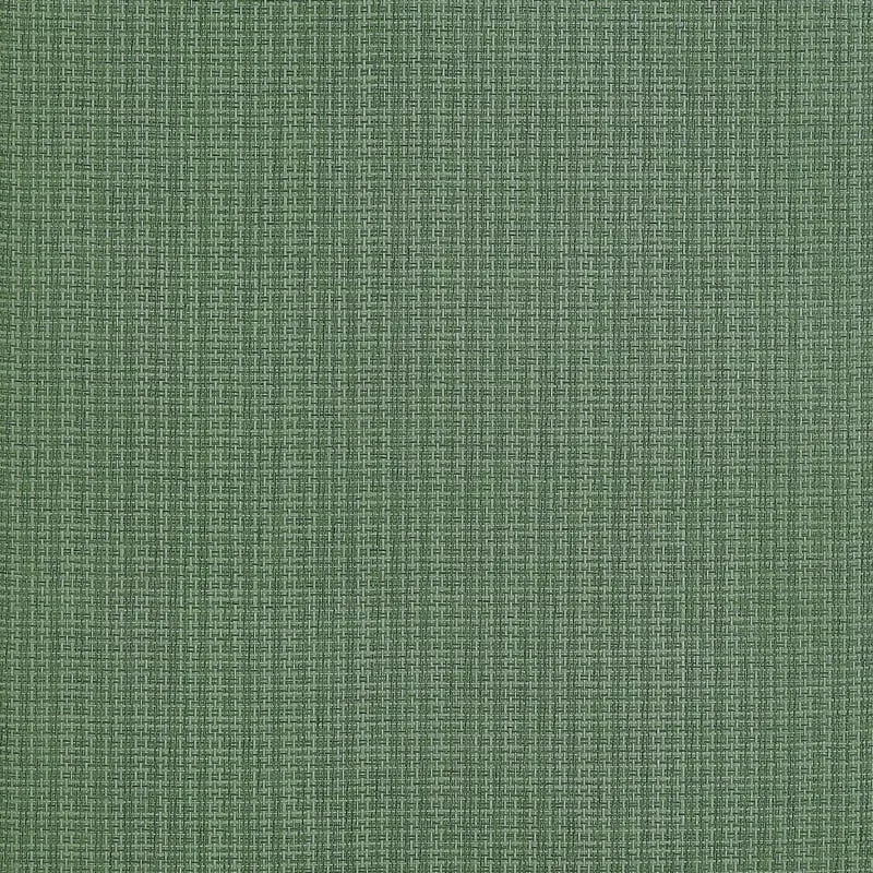 T19630 | Coastline - Spruce