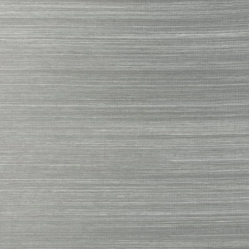 T19665 | Windward Sisal - Steel