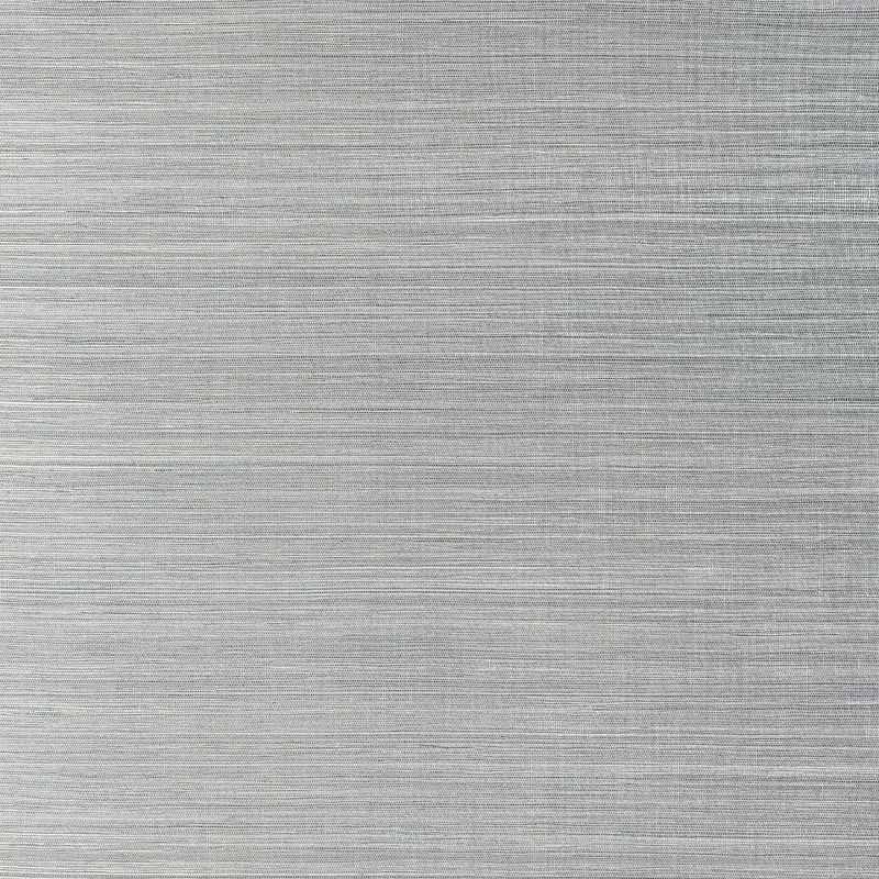 T19675 | Windward Sisal - Platinum