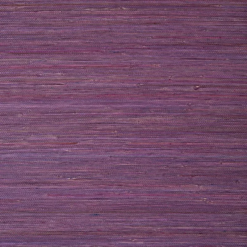 T24064 | Raffia Palm - Plum