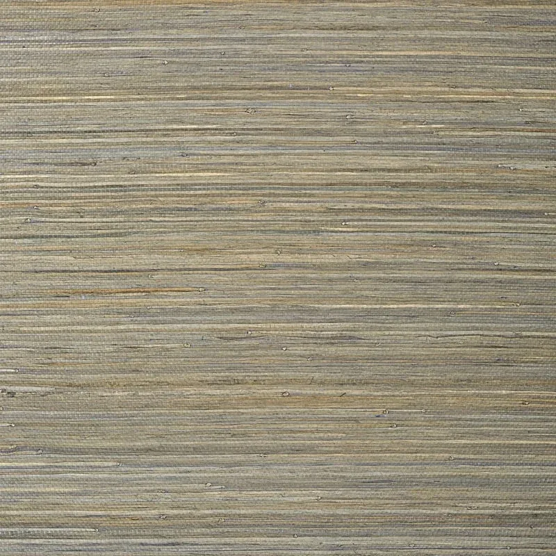 T24067 | Raffia Palm - Grey
