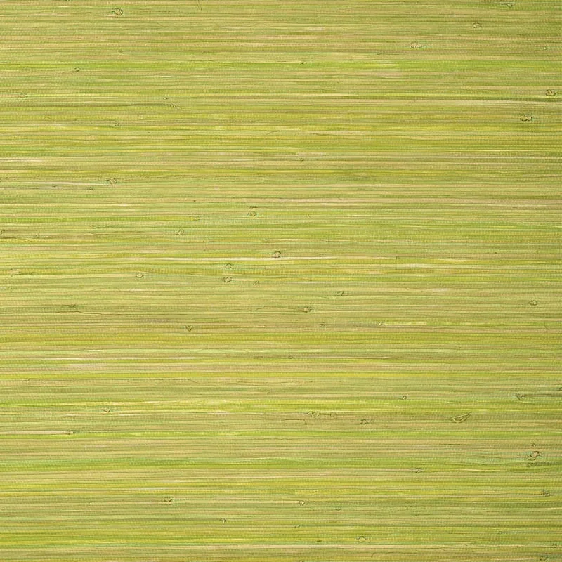 T24070 | Raffia Palm - Apple Green