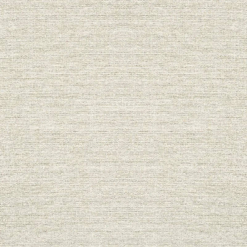 T24128 | Paper Linen - Neutral