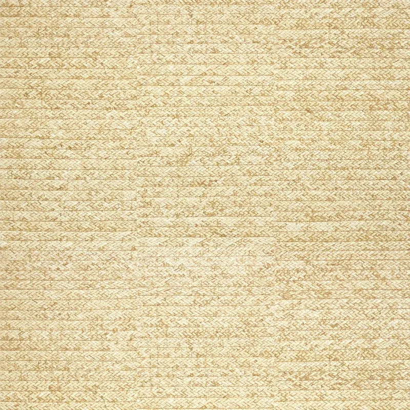 T27042 | Pima Braid - Straw