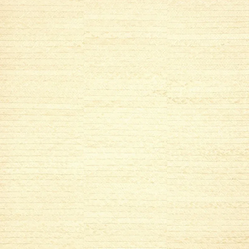 T27043 | Pima Braid - Natural