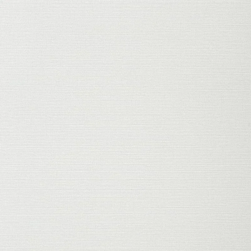 T282 | Taluk Sisal - Snow