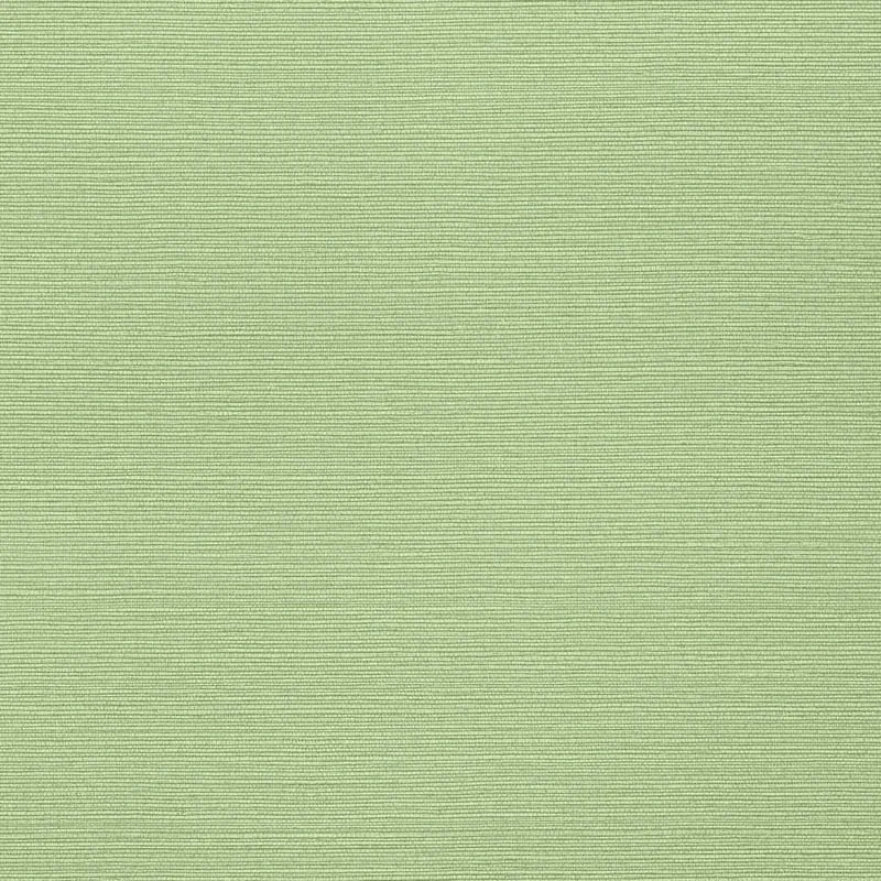 T287 | Taluk Sisal - Spring