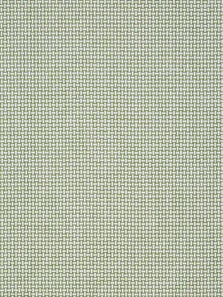 T2939 | Baker Weave - Green room view