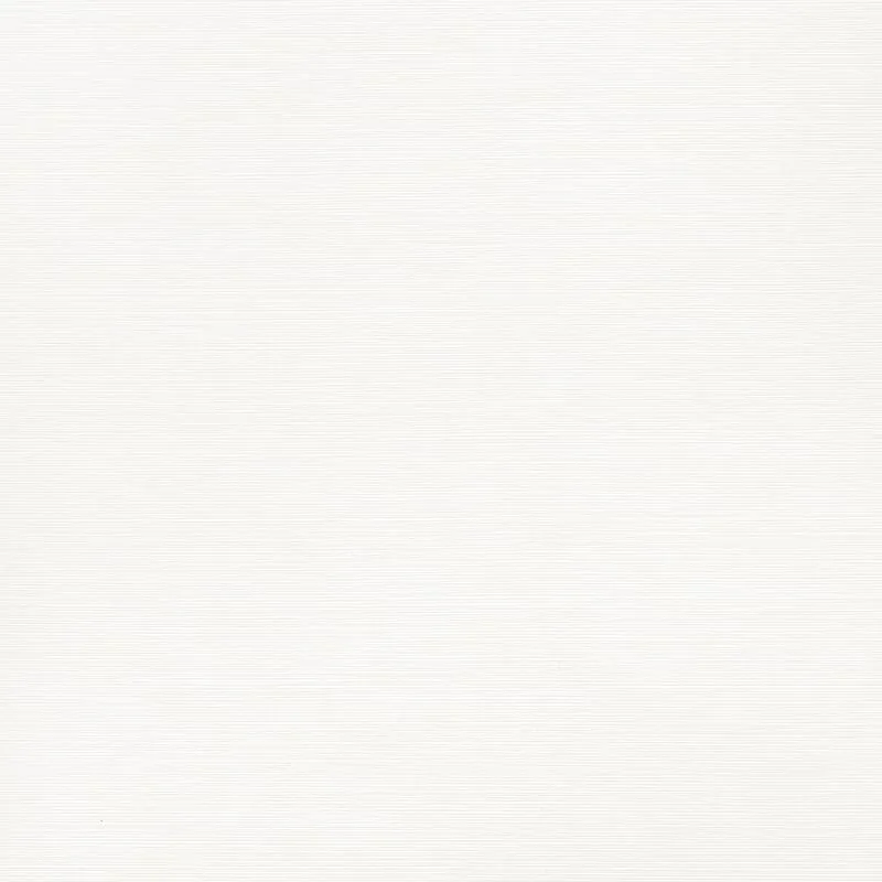T34041 | Taluk Sisal - Bright White