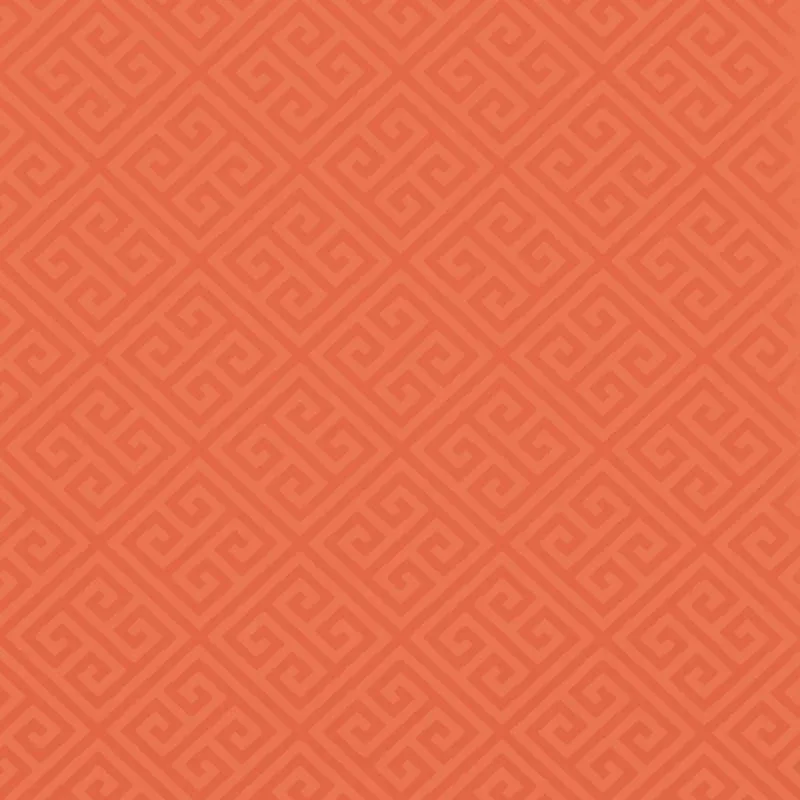 T36167 | Maze - Coral