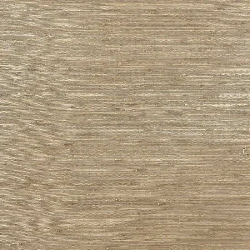 T3696 | Rush Cloth - Pewter