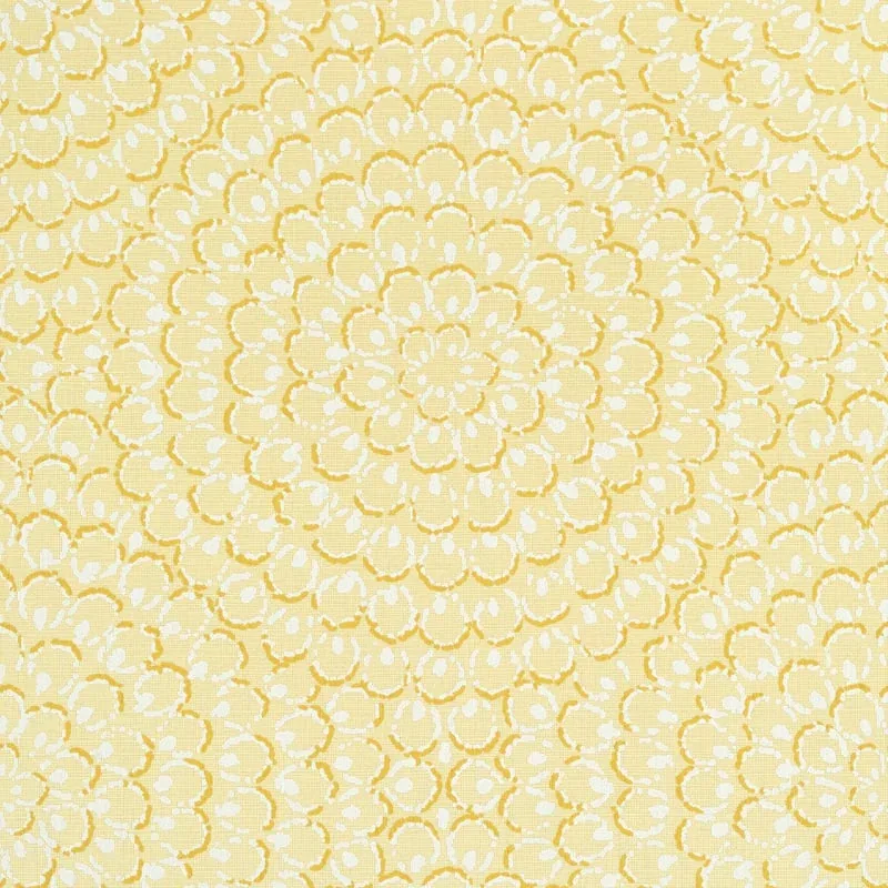 T4032 | Aster - Yellow