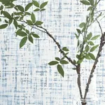 Prisma Blue Thibaut wallpaper by Wallpaper Twins