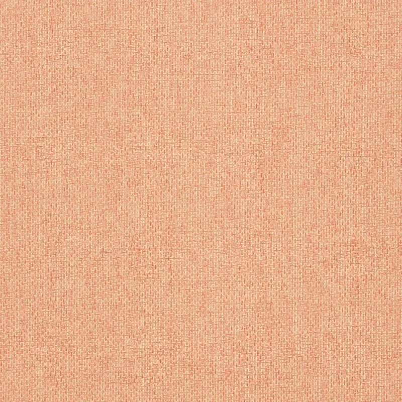 T41124 | Adriatic - Coral