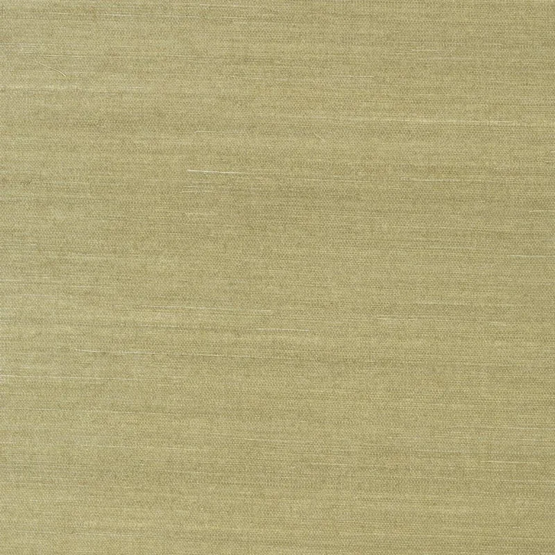 T41166 | Shang Extra Fine Sisal - Moss
