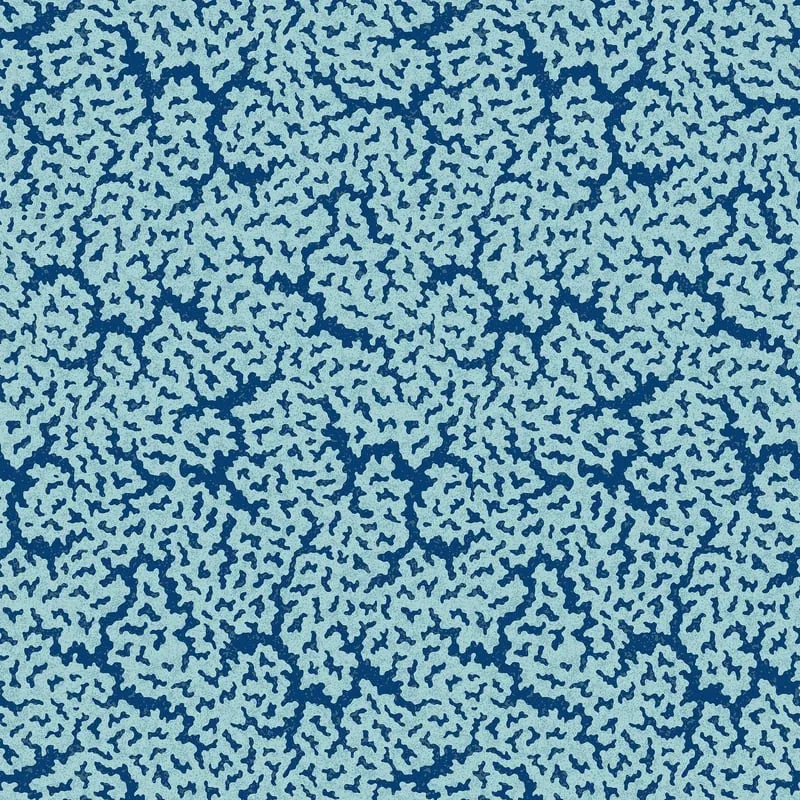 T42040 | Maldives - Navy