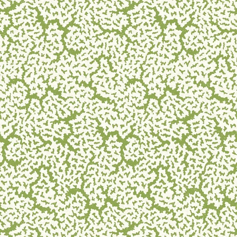 T42041 | Maldives - Green