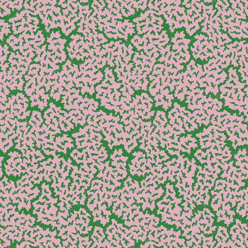 T42042 | Maldives - Lavender and Green