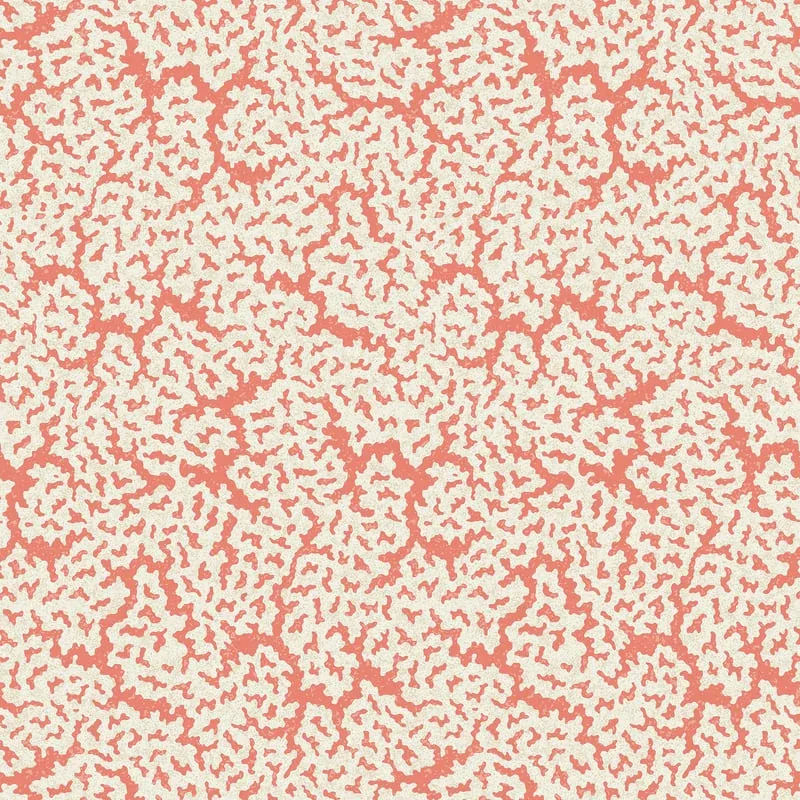 T42043 | Maldives - Coral