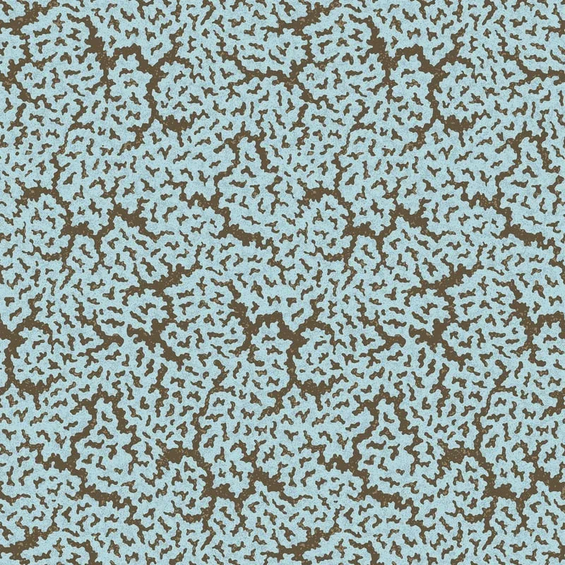 T42045 | Maldives - Spa Blue and Brown