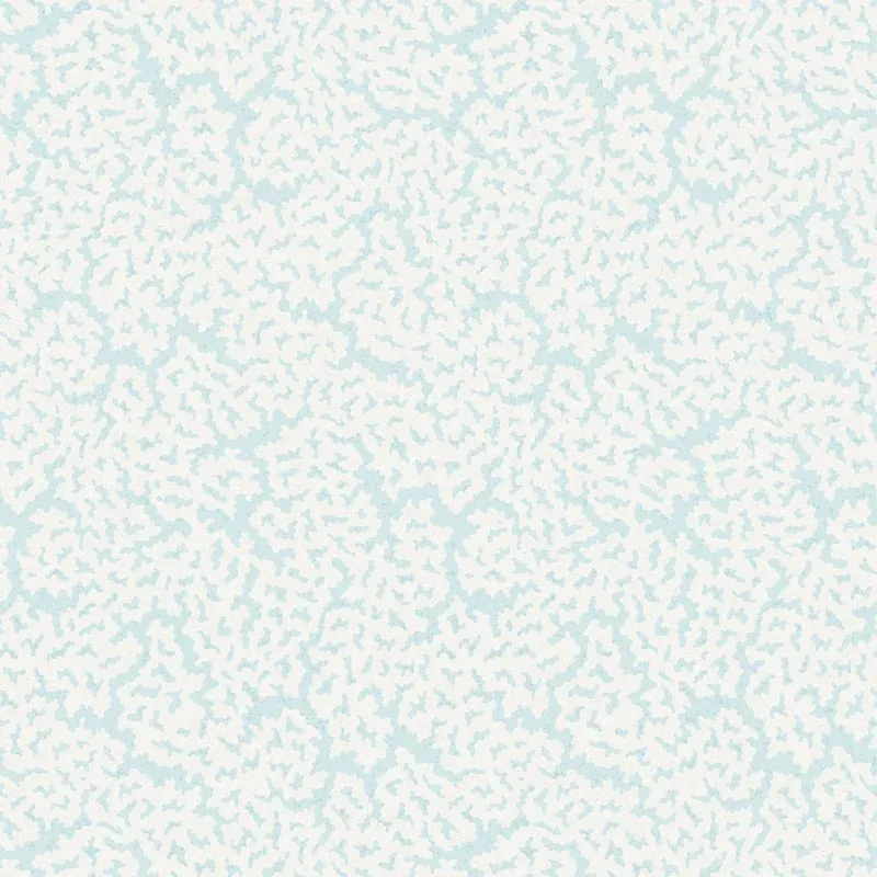 T42058 | Maldives - Soft Blue