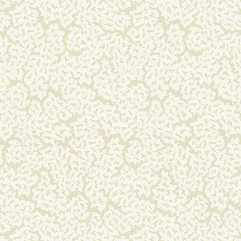 T42059 | Maldives - Cream