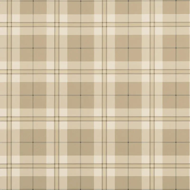 T44073 | Douglas Plaid - Camel